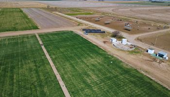 El Gobierno confirmó que no tiene medidas específicas para ayudar al productor ante el aumento de costos para el trigo