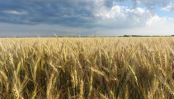 El Niño entra en escena y así va a estar el tiempo: ¿Se esperan lluvias en la próxima semana?