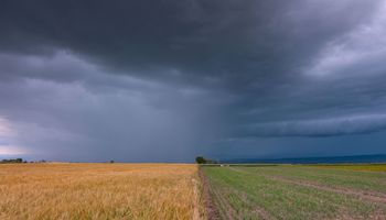 Cambia el clima, ¿se comienza a sentir la llegada de El Niño? Así va a estar el tiempo para el comienzo del trigo