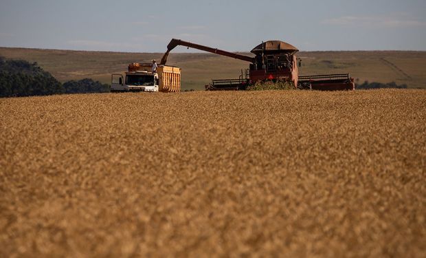 Además de las retenciones, se conocieron los datos que esperaba el mercado de granos: qué pasa con soja, trigo y maíz
