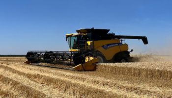 De la sorpresa por los rindes del trigo a una pregunta clave: ¿Cuánto se necesita para cubrir los costos?