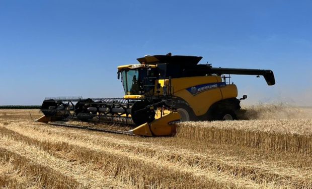 De la sorpresa por los rindes del trigo a una pregunta clave: ¿Cuánto se necesita para cubrir los costos?