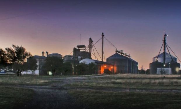 "En 2015 los molinos le pagaban a los productores un 50% del precio internacional", destacó el dueño de Morixe Hermanos.