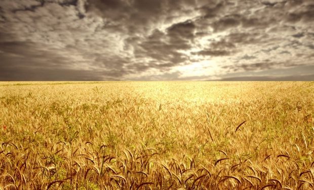 La intervención del mercado provoca pérdidas a muchos agentes económicos y no beneficia a los consumidores.