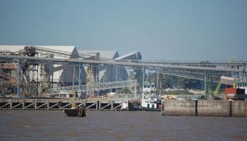 Envíos de trigo uruguayo a Brasil crecieron 537%