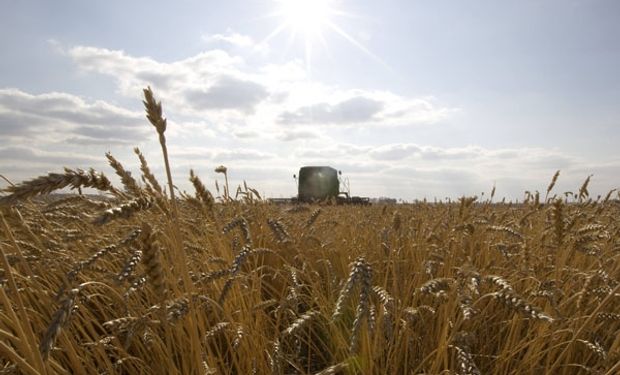 Una vez más es momento de pasar la tormenta, y el productor agrícola lo sabe.