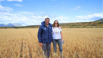 Histórico: así fue la primera cosecha de trigo en El Calafate