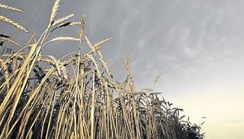 Alertan en EE.UU. por el fenómeno El Niño y La Niña