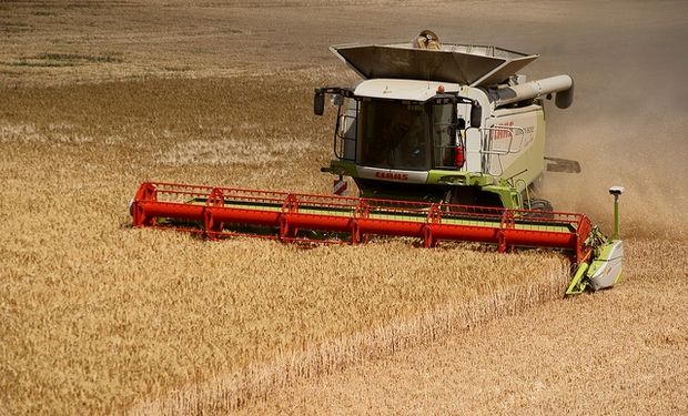 Ucrania suma ventas de harina de trigo