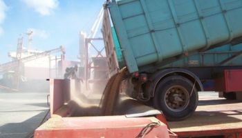 Reactivación de los puertos provinciales: cargan trigo en Diamante