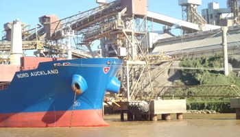 Trigo: Paraguay le vendió más a Brasil y la Argentina menos