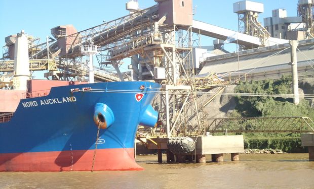 El trigo argentino redujo su participación en Brasil.