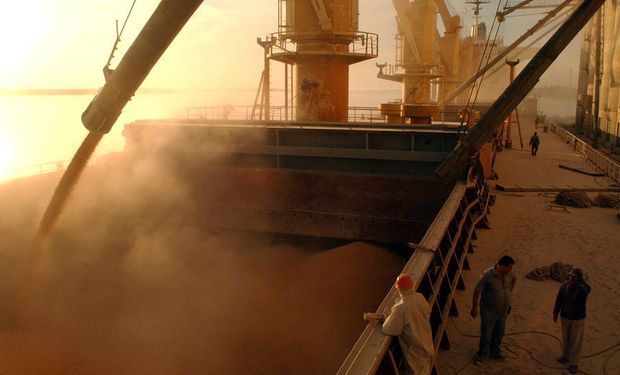 Trigo: la exportación ha estado más agresiva en sus compras respecto a años anteriores.