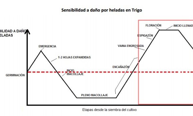 Fuente: Adaptado de Warrick y Miller (1999)