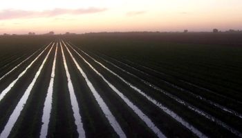 Córdoba: soja, maíz y trigo sufren los efectos de El Niño