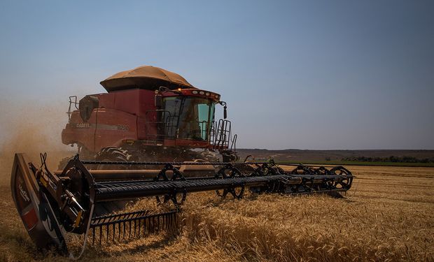 El trigo a US$ 185 comienza a generar interés: de qué se habla en el mercado de granos en el cierre de año