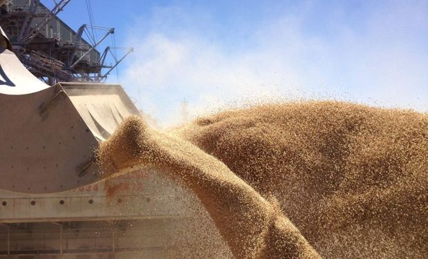 Exportadores tienen más trigo del que seguramente podrán despachar.