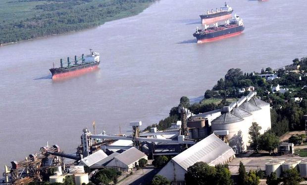 Trigo: el paro continúa afectando la concreción de nuevos negocios en el mercado local