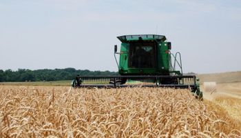 Córdoba: llegó el primer lote de trigo para el remate 2017