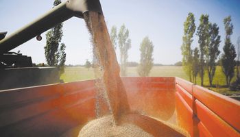 Rusia, a punto de convertirse en el mayor exportador de trigo