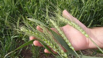 Piden que Nación declare la emergencia agropecuaria en Córdoba y Santa Fe