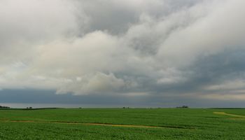 ¿Se viene un "Súper Niño"? Se esperan lluvias claves para la definición del trigo y la siembra de la gruesa
