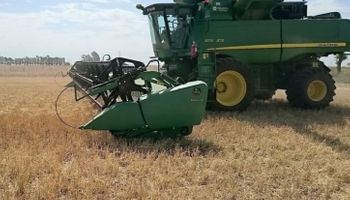 Ingreso adicional para productores trigueros que usaron tecnología comercial