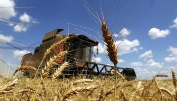 Índice de alimentos de FAO mostró una leve caída en julio