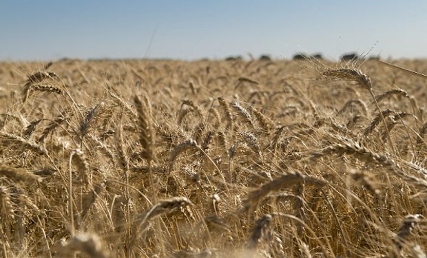 Se recuerda a los productores efectuar análisis previos antes de entregar para conocer la calidad del mismo.