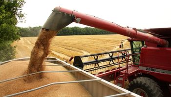 Para la BCBA, la cosecha de trigo fue de 10,10 mill./t