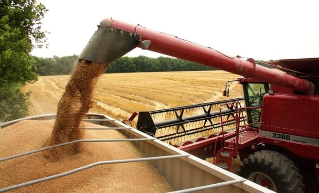 Cosecha de granos superaría los 100 millones de toneladas