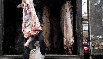 Troceo de carne: frigoríficos advierten que es imposible lo que quiere imponer el Gobierno