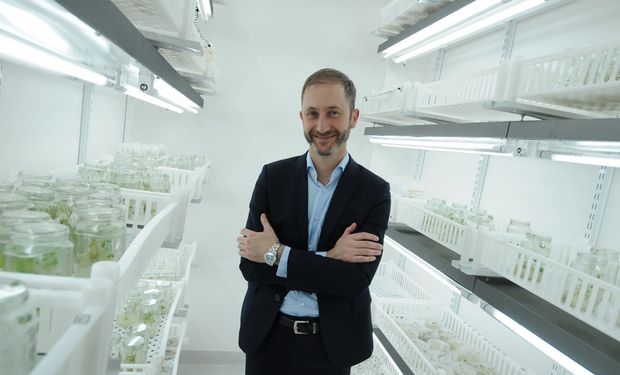 La fórmula del CEO de Bioceres para duplicar la producción del campo sin aumentar rindes: "Es más interesante que aumentar el rendimiento de la soja un 10%"