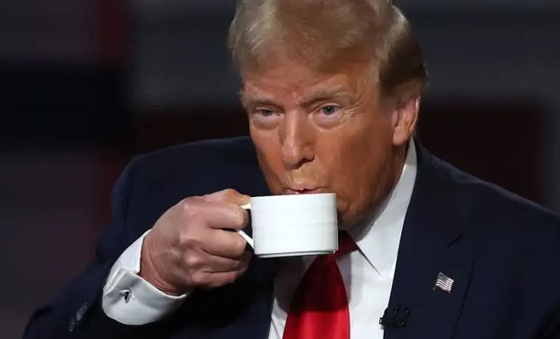 Sem café brasileiro, rombo na economia dos Estados Unidos pode chegar a US$ 114 bilhões