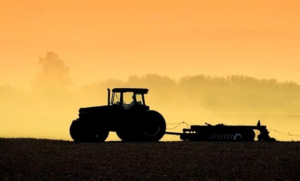 Nuevo pronóstico de El Niño: se afirma la esperanza climática para la revancha que podría tener el campo argentino