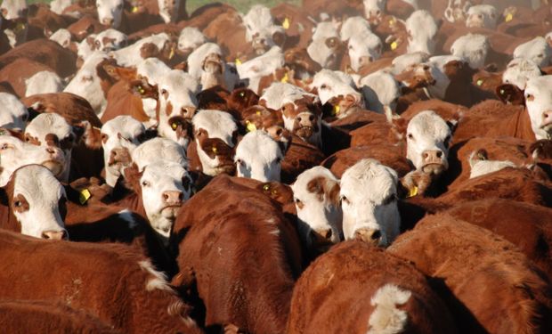 Será la primera vez que se realice desde AgroActiva.