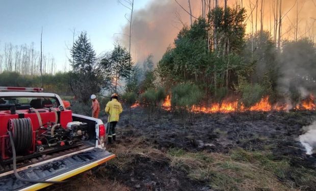 Fuego en Corrientes: detienen a un hombre acusado de provocar incendios