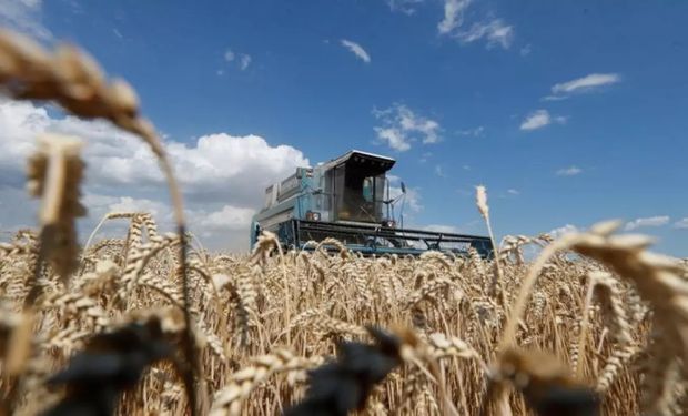 Ucrania prevé una caída del área de siembra de trigo del 40 % 