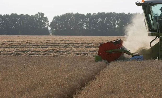 Ucrania creará una reserva de granos para enfrentar a la invasión rusa
