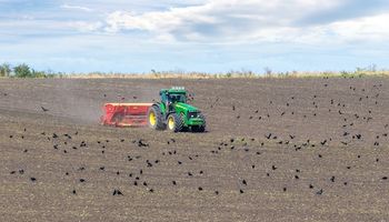 Pese a la guerra, Ucrania ya sembró más de 150 mil hectáreas