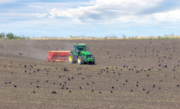 Pese a la guerra, Ucrania ya sembró más de 150 mil hectáreas