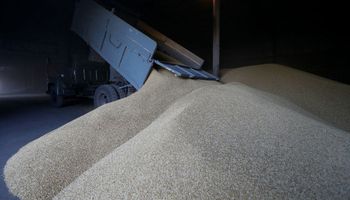 Ucrania acusa a Rusia de robar miles de toneladas de cereales