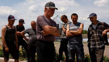 Trigo: el "infierno" que temen los productores ucranianos para la cosecha