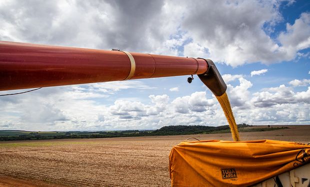 La apuesta de ucrop.it: "El productor va a cobrar más por ser sustentable que por el producto en si"