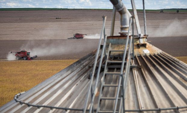 La plataforma ucrop.it logró una verificación clave para las exigencias de mercados internacionales