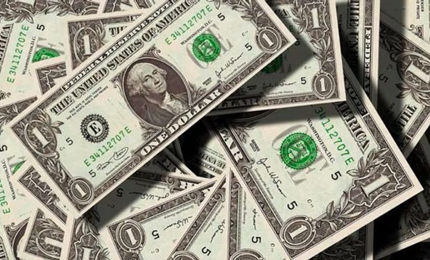 Dólar hoy: a cuánto cotiza el dólar blue y el dólar tarjeta este miércoles 24 de enero