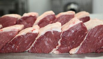 União Europeia retira Brasil de lista autorizada a exportar carnes e produtos animais