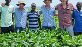 Buscan ingeniero agrónomo para vivir en Uganda: qué ofrecen y cuáles son los requisitos