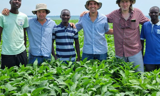 They are looking for an agronomist to live in Uganda: what they offer and what are the requirements