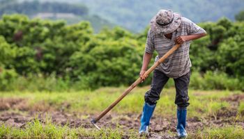 Brasil trabalha para ampliar produção de máquinas para agricultura familiar